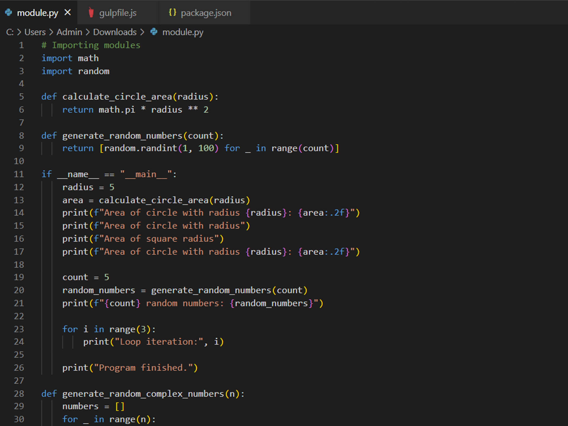 Custom Software Development